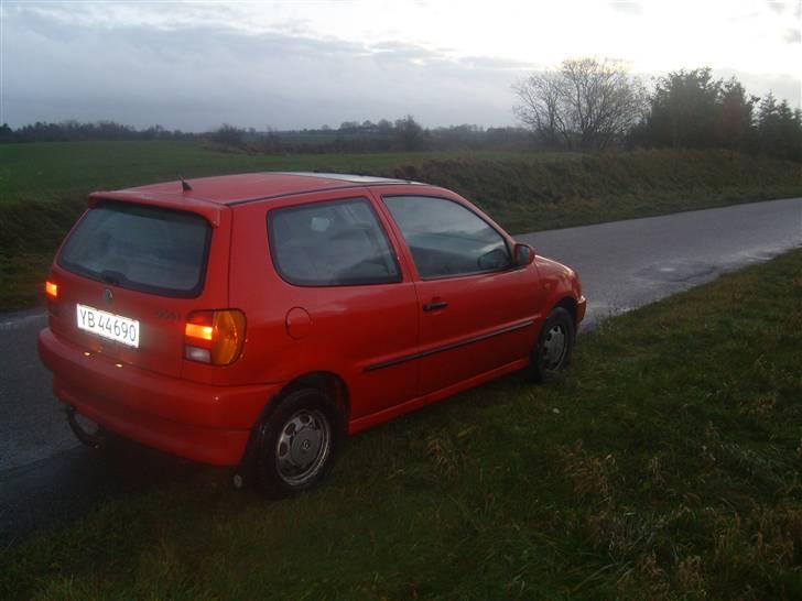 VW polort 1,6 byttet billede 4