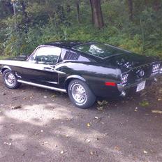 Ford Mustang Fastback  SOLGT