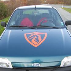 Ford Fiesta a.k.a Bjarne