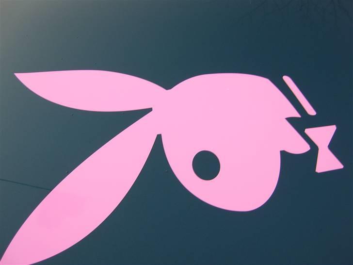 Ford Fiesta a.k.a Bjarne billede 8