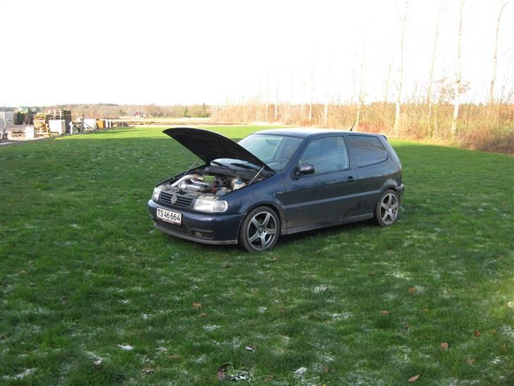 VW Polo 1,4 16v SOLGT billede 20