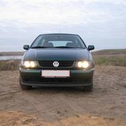 VW Polo (R.I.P)