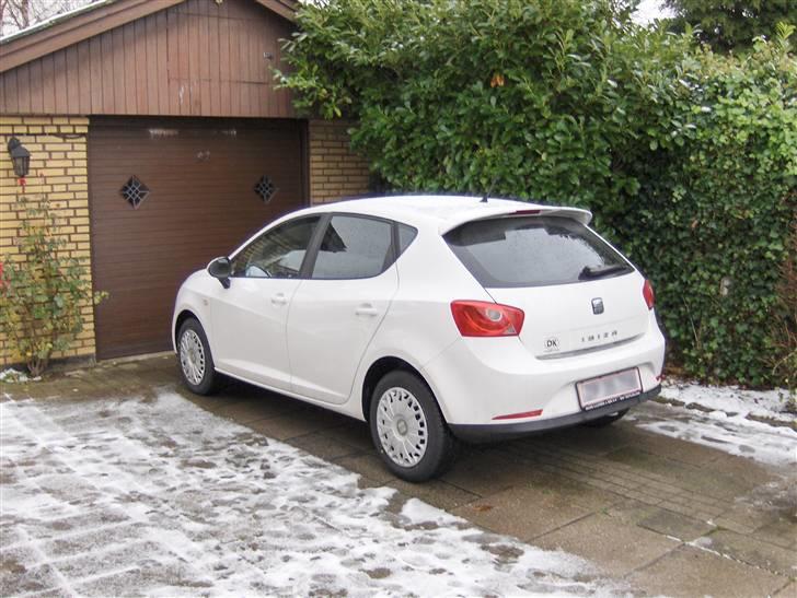 Seat Ibiza Stylance billede 2