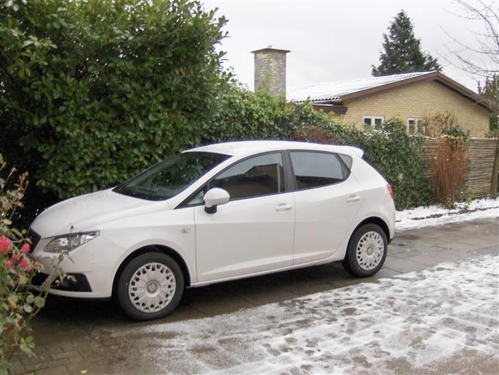 Seat Ibiza Stylance billede 5