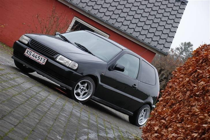 VW Polo 6n TILSALG  - Hjemme i Indkørslen billede 7