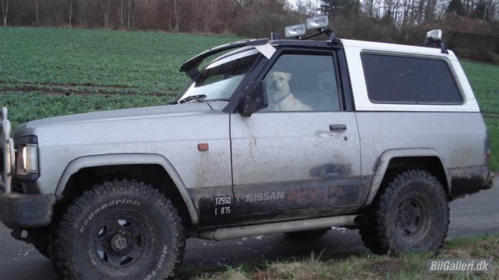 Nissan patrol 2,8 solgt billede 7