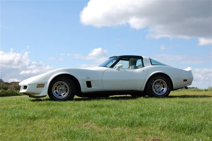 Chevrolet Targa 2 dr. Sports Coupe billede 1