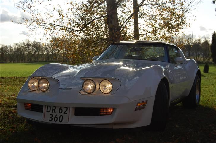 Chevrolet Targa 2 dr. Sports Coupe billede 2