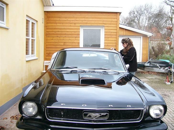 Ford mustang billede 17