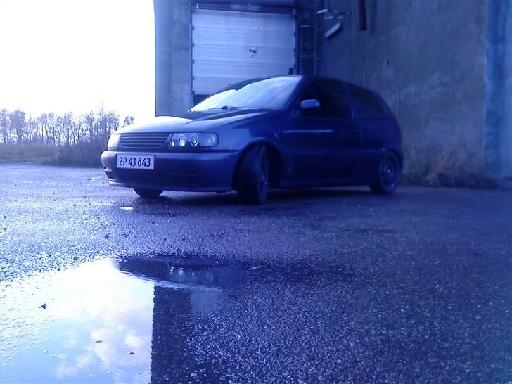 VW Polo 6n 1.4 16v billede 1