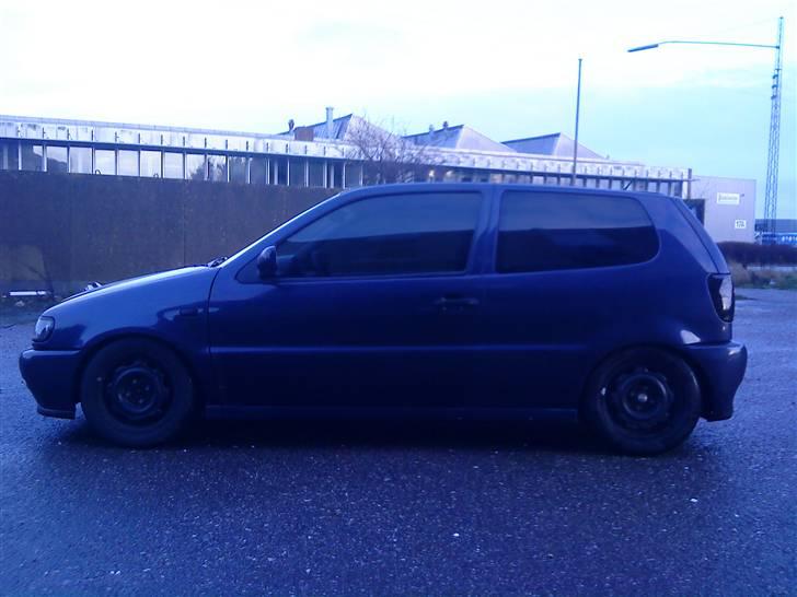 VW Polo 6n 1.4 16v billede 3