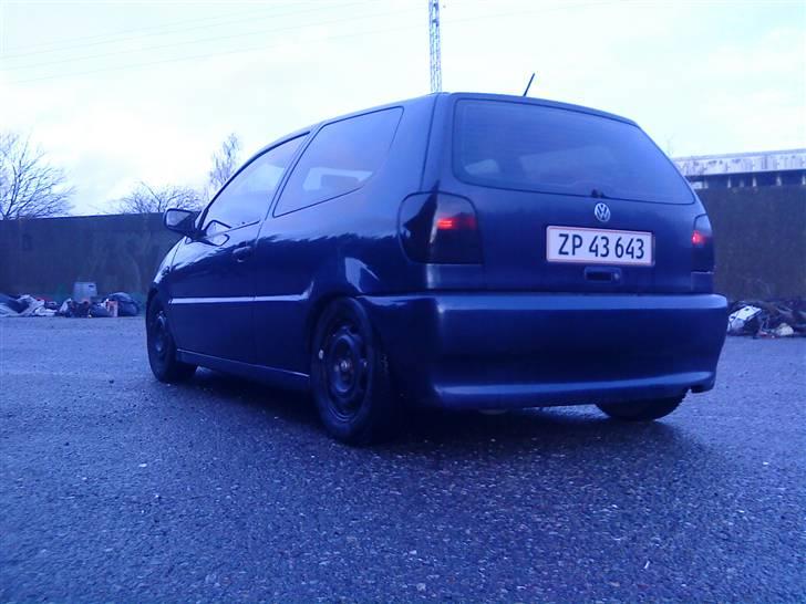 VW Polo 6n 1.4 16v billede 5