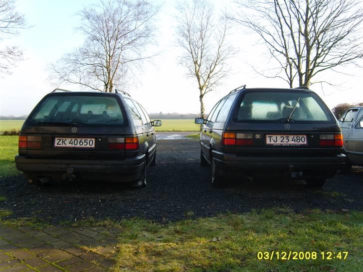 VW Passat GL Type 3 - GT´er til venstre og GL´er til højre billede 6
