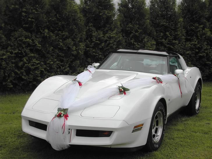 Chevrolet Targa 2 dr. Sports Coupe billede 8