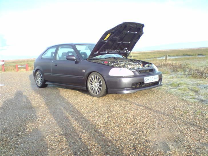 Honda civic (tidl. bil) billede 1