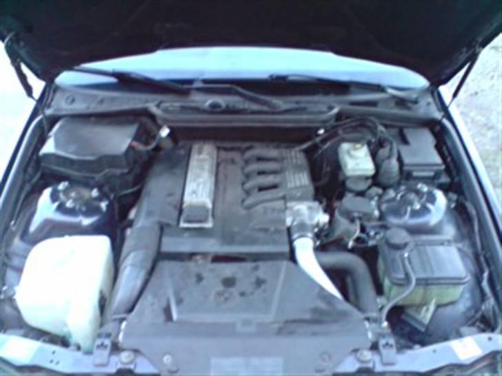 BMW e 36 318 tds touring billede 11
