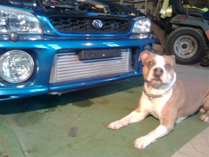 Subaru Impreza gt - ............................... billede 19