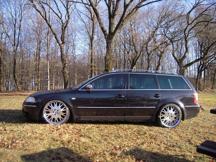 VW Passat 3BG TDI Airrider - med ano 09 fælge på...  billede 16