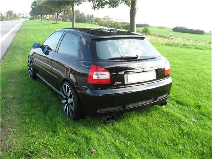 Audi A3 1.8 T / S3 Look - Sommerbillede, lånt af den tidligere ejer :) billede 13