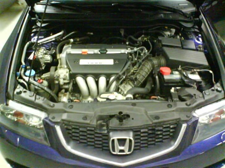 Honda Accord Sport - Standard og småkedeligt, åbenbart nødvendigt... billede 6