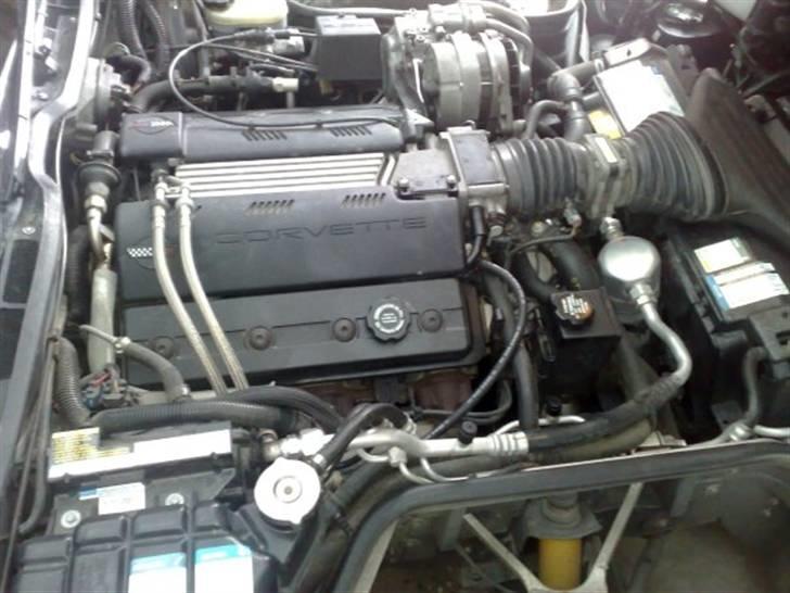 Chevrolet Corvette billede 7