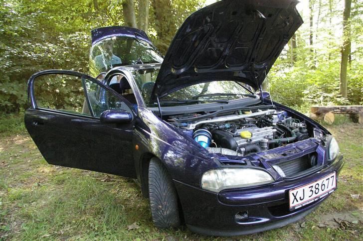 Opel TIGRA  billede 6