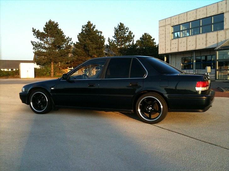 Honda Accord 2,0i 'Blueberry' billede 6