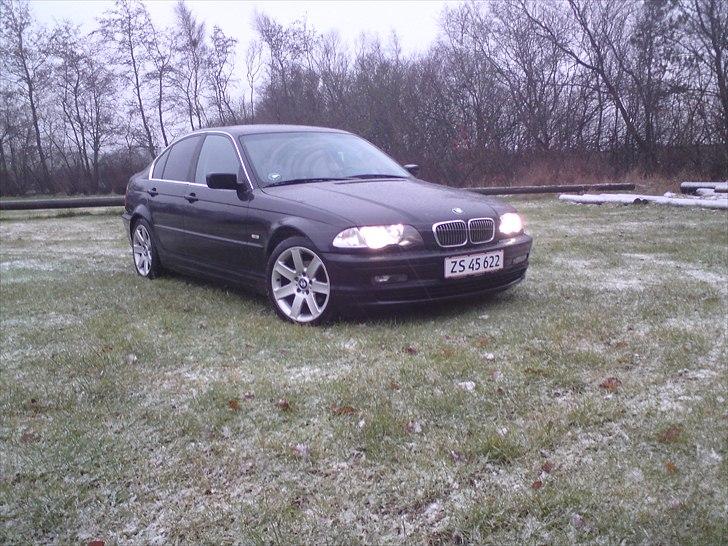 BMW e46 ~ 320i Sedan (ShadowLine) - Sommerfælge billede 11