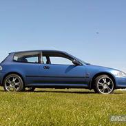 Honda Civic (SOLGT)