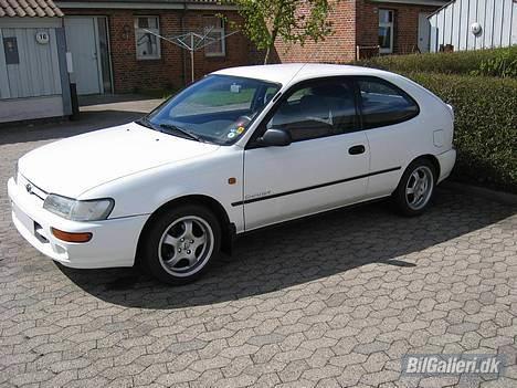 Toyota Corolla XLI billede 1