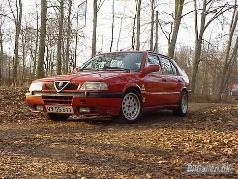 Alfa Romeo 33 IE billede 8