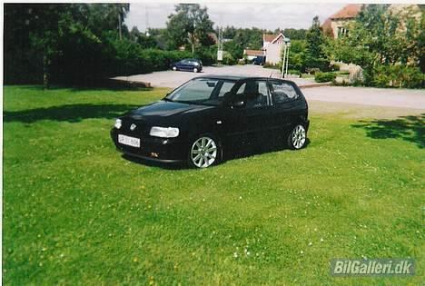 VW Polo 6N billede 2