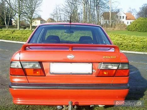 Nissan Primera e-GT aka NILE - Smuk numse billede 5