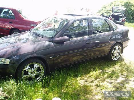 Opel vectra B purpel lady billede 1
