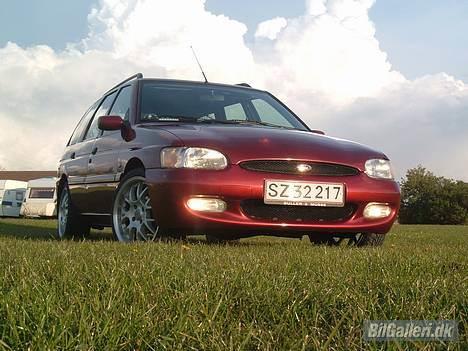 Ford Escort HERSTAL EDITION St billede 1