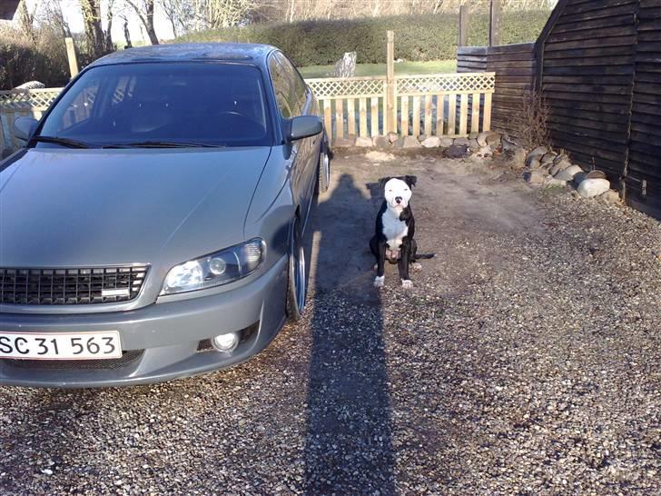 Opel Omega GANGSTER  billede 1