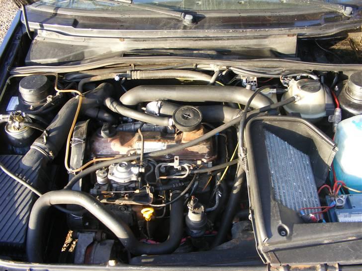 VW Golf Special GTD (Solgt) - Lidt maling og rustfrie rør ville gøre underværker. billede 14