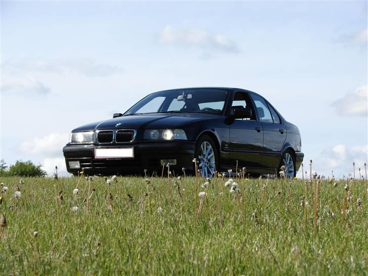 BMW 318 i Bavaria *Skadet*  billede 1