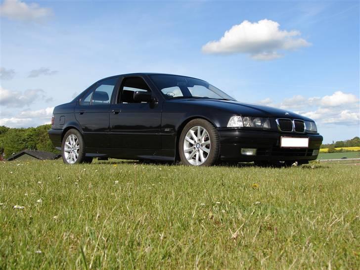 BMW 318 i Bavaria *Skadet*  - Hun er da bare sød billede 6