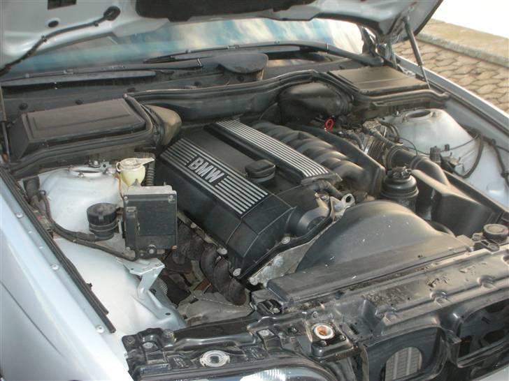 BMW 520i E39 billede 2