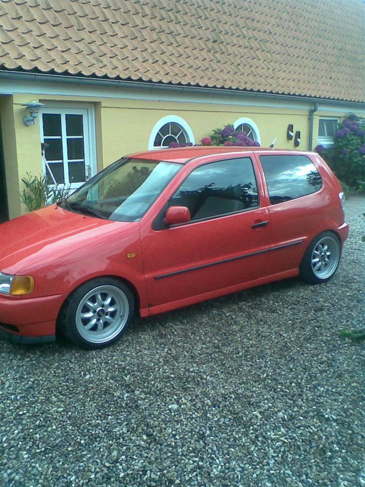 VW Polo 6n Vabis v8 billede 1