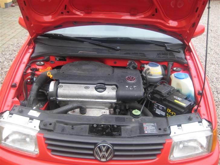 VW Polo 6n Vabis v8 billede 10