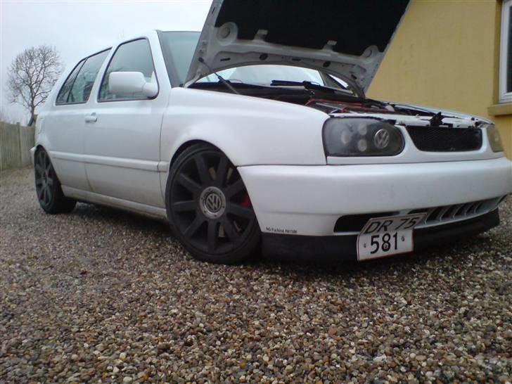 VW VR6 '' Whitey'' (Byttet) billede 6