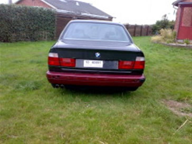 BMW E34 535i billede 2