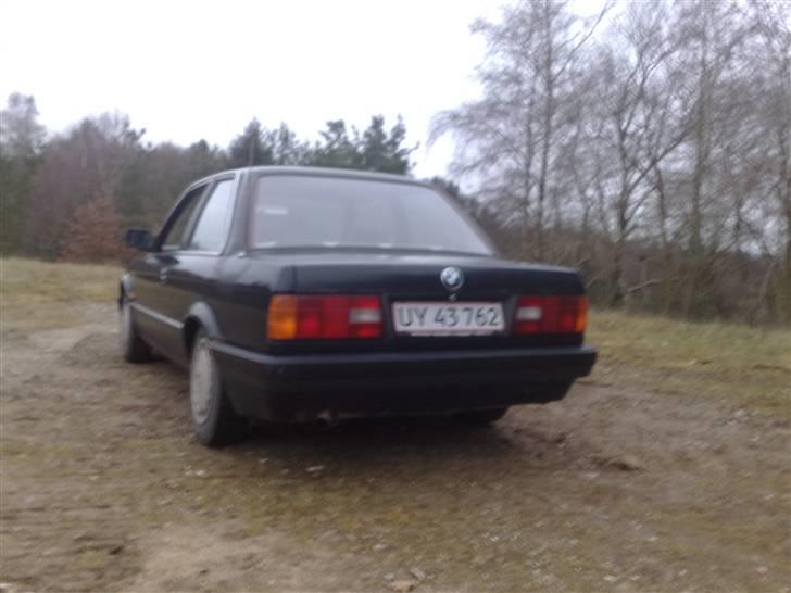 BMW E30 316i SOLGT billede 2