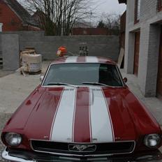 Ford Mustang - SOLGT