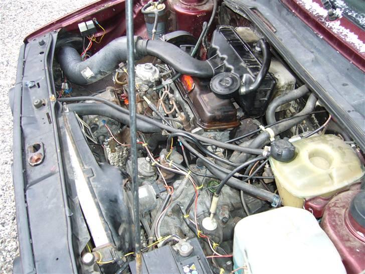 VW Golf 2 D - lækker maskine.. billede 14