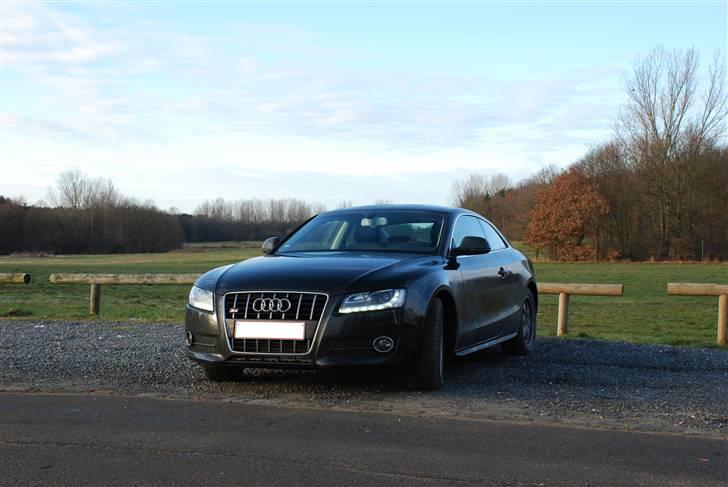 Audi A5 billede 15