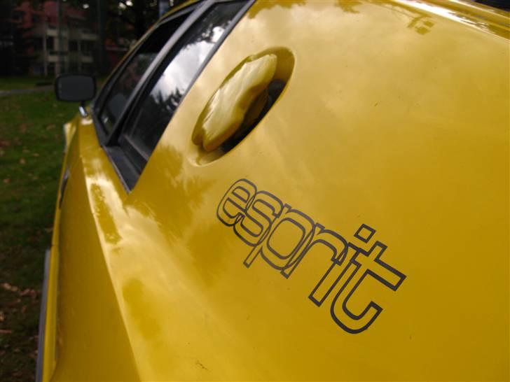 Lotus Esprit S1 (Solgt) billede 7