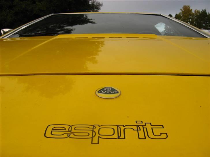 Lotus Esprit S1 (Solgt) billede 9